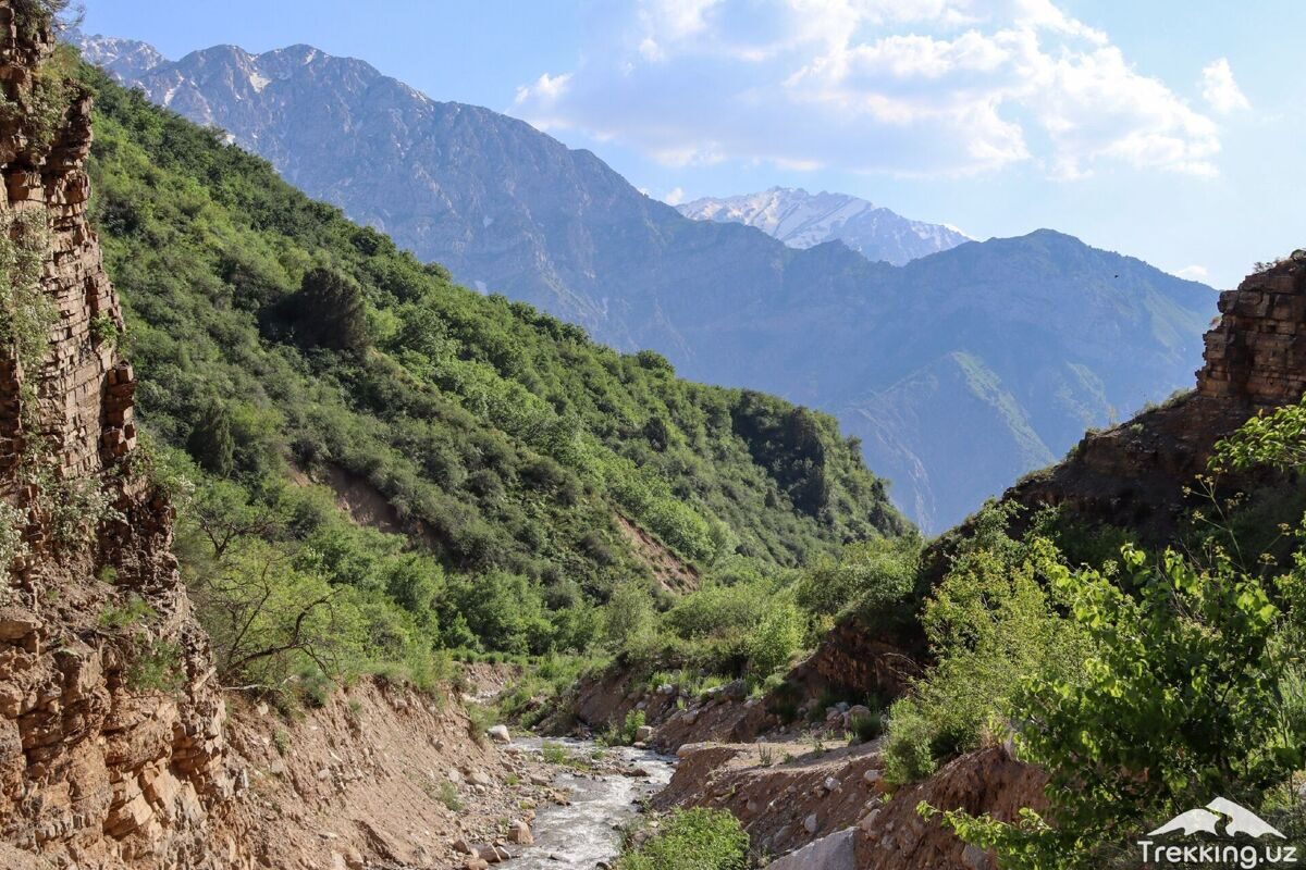 photo_2024-03-14_14-42-28