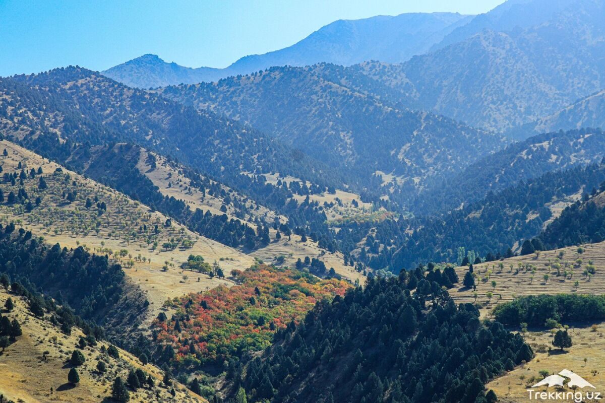 photo_2024-03-15_11-43-50_2