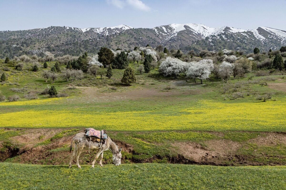 photo_2024-03-14_10-23-28