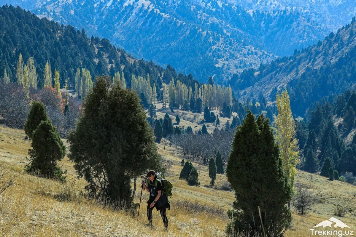 photo_2024-03-15_11-44-02