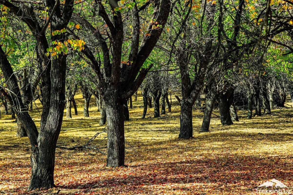 photo_2024-03-15_11-43-51