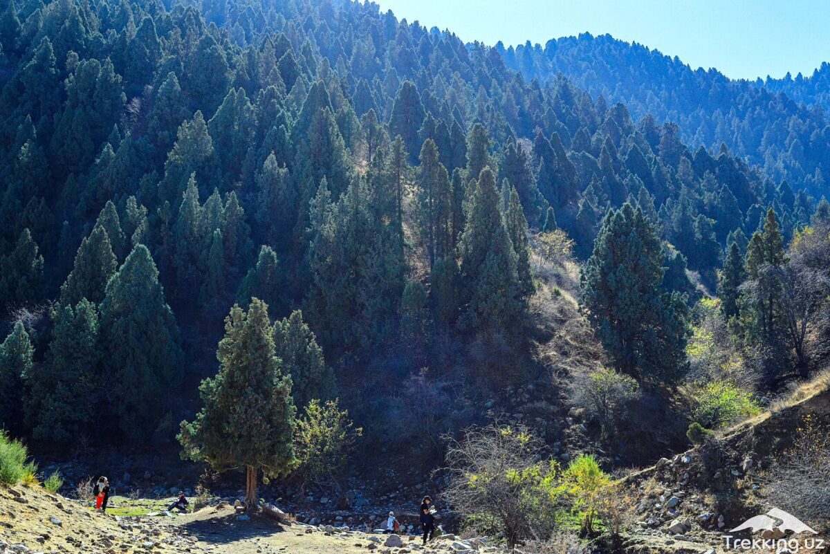photo_2024-03-15_11-43-51_2