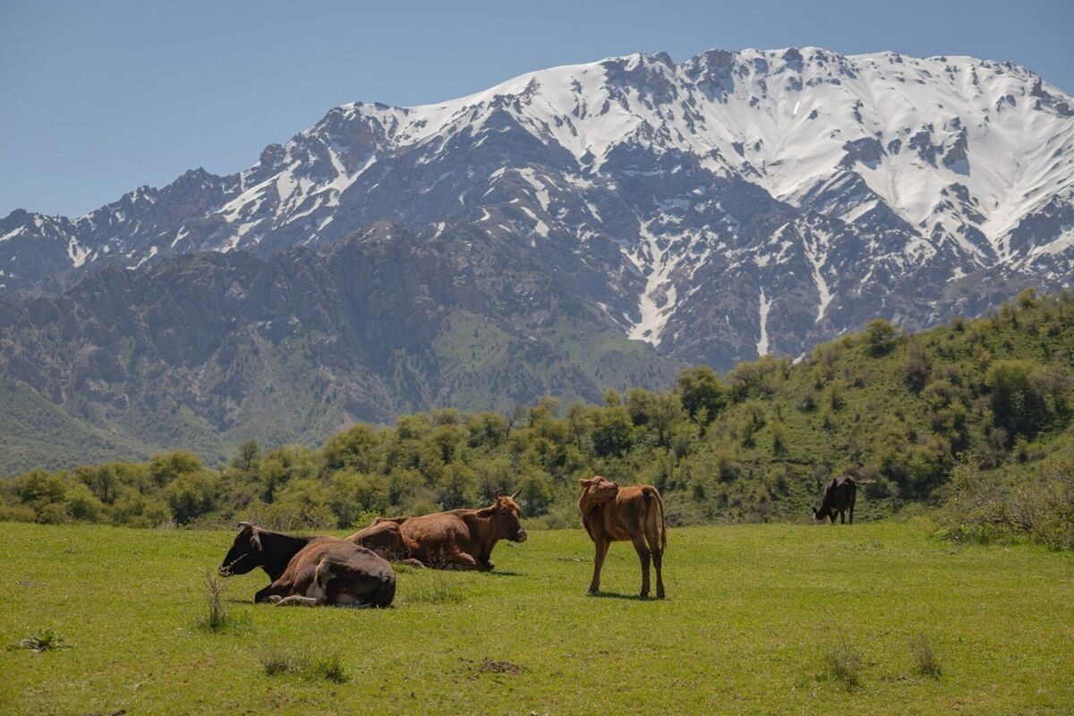 photo_2024-03-09_08-34-43_3