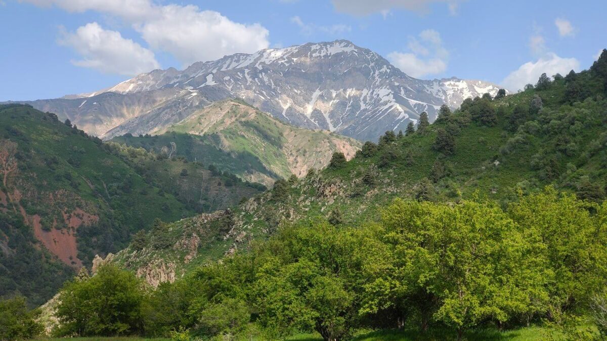 photo_2024-03-14_13-12-13