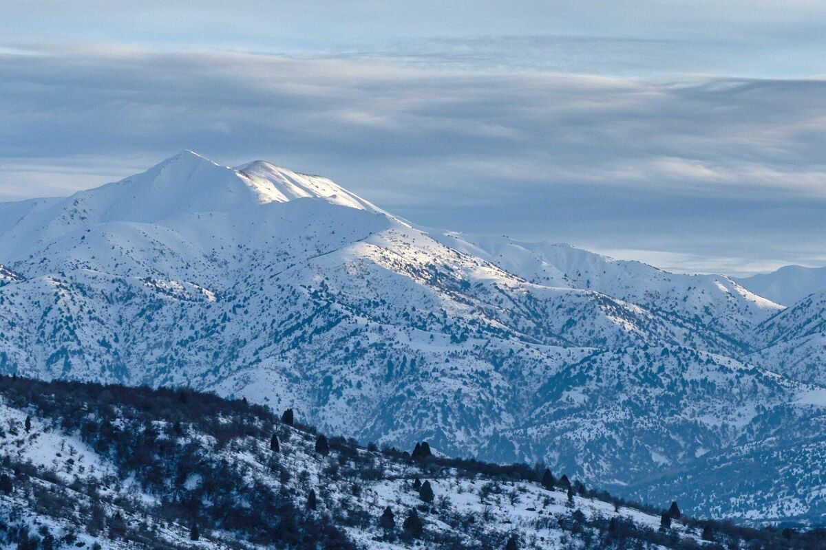 photo_2024-03-14_11-59-00_4