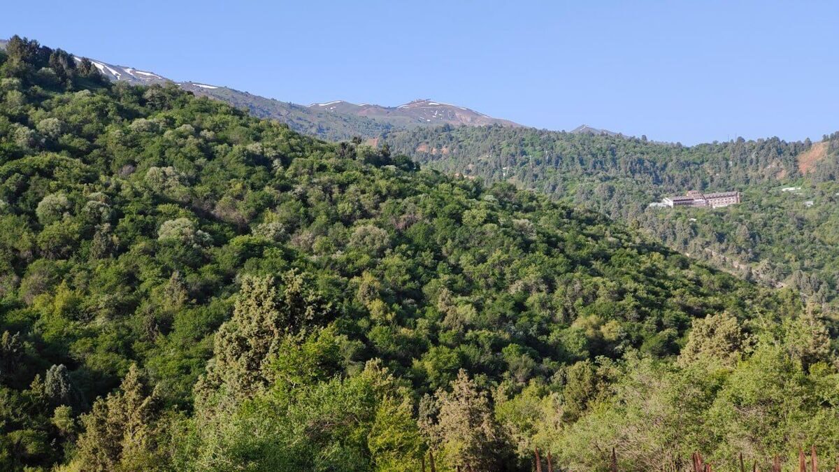 photo_2024-03-14_13-12-31_2