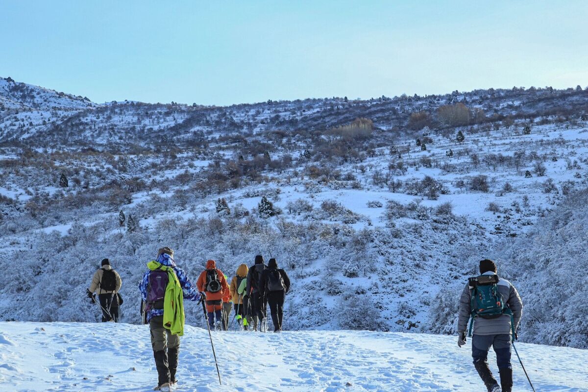 photo_2025-01-14_11-06-03_3