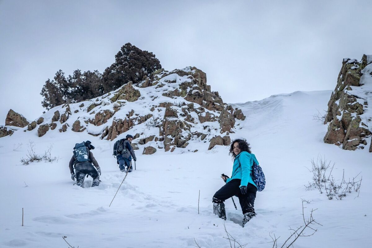 photo_2024-03-14_11-59-00_6