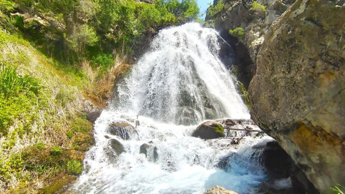 photo_2024-03-14_20-08-49_2
