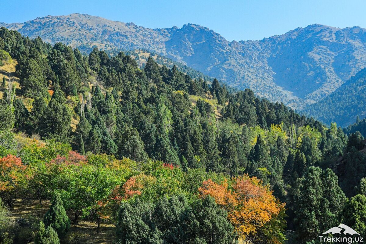 photo_2024-03-15_11-43-50_4