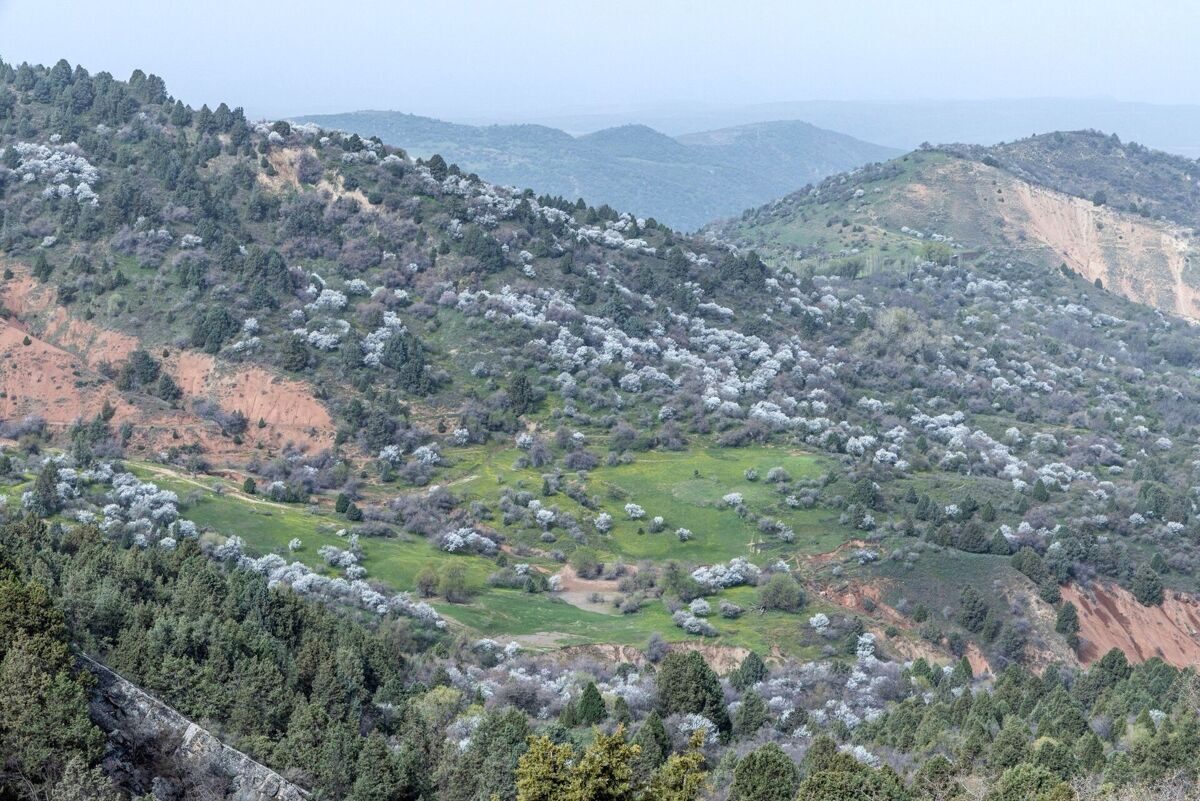 photo_2024-03-14_10-23-33_3