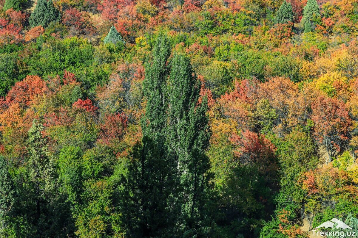 photo_2024-03-15_11-43-50_3